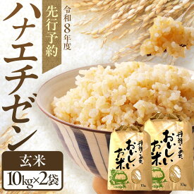 【ふるさと納税】 【先行予約 /8月下旬より順次発送 】 ハナエチゼン 玄米 10kg×2 （20kg） / 米 お米 健康 小浜市 / 北川博司 [BFDG005]
