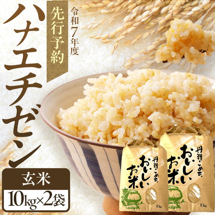 楽天市場】【ふるさと納税】 【新米】 【令和7年産】 ハナエチゼン 