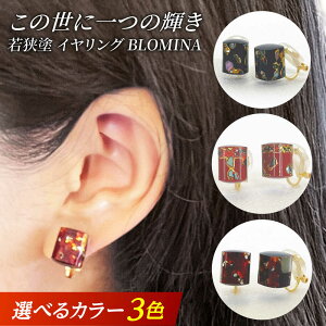 yӂ邳Ɣ[ŁzዷhCO BLOMINA yIׂJ[z/ CO ዷh `H|i l / ዷhZ^[[BFEE001]