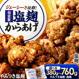 【ふるさと納税】塩麹からあげ ＼選べる味・パック数／ Kitchen Boo 手作り唐揚げ 冷凍 / ジューシー やわらか お弁当 おつまみ 小浜市 / タカノ 【配送不可地域：北海道・沖縄・離島】[BFEF001]