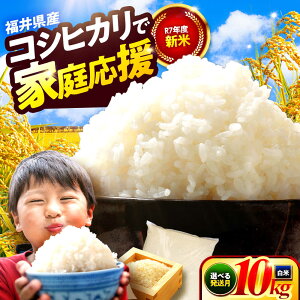 yӂ邳Ɣ[ŁzIׂ RVqJ 10kg  䌧 lsY   Y Ђ I V Ė≮ ͂  ٓ ɂ ig ƒp Hi O  