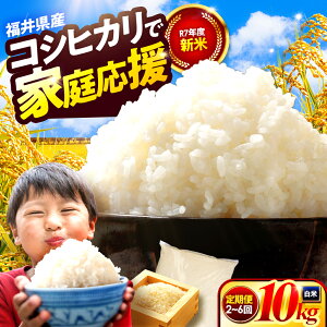 yӂ邳Ɣ[ŁzyIׂցzlsY RVqJ 10kg × 2 ` 6 v 20kg ` 60kg  ዷ Ђ ͂    ٓ ɂ Еz 䌧 ls / ~cčX [BFEK014]