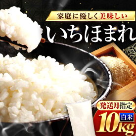 【 ふるさと納税 】【選べる発送月】お米10キロ 米 いちほまれ 10kg 精米 米 10キロ 白米 白飯 お米 ご飯 ごはん コメ こめ 福井県産 福井 ブランド米 国産 おいしい 美味しい kome rice 小浜市 / 梅田東米穀店[BFEK019]