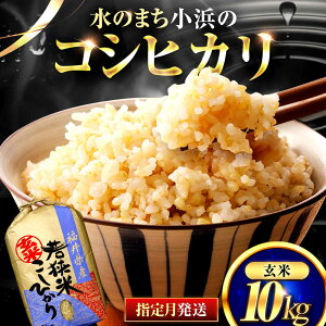 yӂ邳Ɣ[ŁzyIׂ锭z 䌧Y RVqJ  10kg ꓙ /Â݂ƔS肪  Ђ ls / ዷӂꂢs[BFEL001-013]