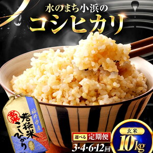 yӂ邳Ɣ[ŁzyIׂ։񐔁z 䌧Y RVqJ  10kg ꓙ /Â݂ƔS肪  Ђ ls / ዷӂꂢs[BFEL014]