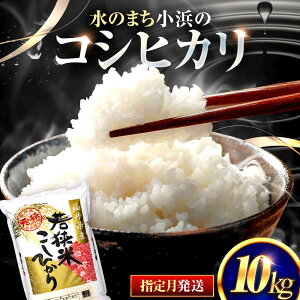 yӂ邳Ɣ[ŁzyIׂ锭z 䌧Y RVqJ  () 10kg ꓙ 䌧 / Â݂ƔS肪ۗ  Ђ ls / ዷӂꂠs[BFEL018]