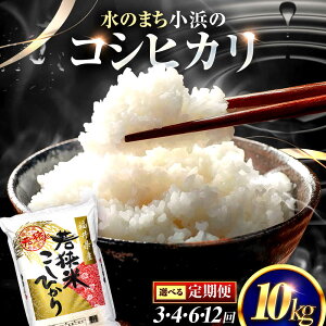 yӂ邳Ɣ[ŁzyIׂ։񐔁z 䌧Y RVqJ  () 10kg ꓙ@䌧 /Â݂ƔS肪ۗ  Ђ ls / ዷӂꂠs[BFEL031]