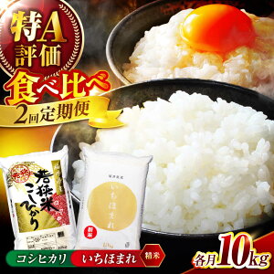 yӂ邳Ɣ[ŁzyVāzy2ցzy䌧Yz 1ځFRVqJ  10kg 2ځF ق܂  10kg 䌧 / RVqJ uh AA ls / ዷӂꂠs[BFEL052