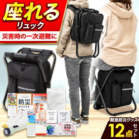 【 ふるさと納税 】防災セット ★4.5以上【防災士厳選】＼総販売数120万セット突破！／ 防災セット 座れるイス型リュック 防災グッズ 防災 防災バッグ 防災リュック 緊急防災セット 12点 9-800E / 災害時 避難 備え 大雨 洪水 台風 災害 避難 / 小浜市 / 岸田産業[BFDJ004-1]