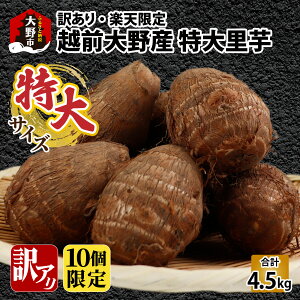 yӂ邳Ɣ[Łzy󂠂zyyVzzOY  4.5kg TCYi3Lȏj_ƒ y10z| yV A Ƃ KiO SDGs ʌ Ԍ s [A-008007]