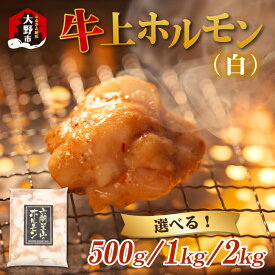 【ふるさと納税】ホルモン の 老舗 六間星山 の 牛上ホルモン（白）500g／1kg／2kg [A-026002] | 国産 豪州産 秘伝 タレ漬け 星山 焼肉 バーベキュー ホルモン鍋 とんちゃん 鉄板焼 BBQ もつ 味付け肉 ビールのお供 網焼き 牛肉 肉 ハイボール 焼肉店 ホルモン焼き 送料無料