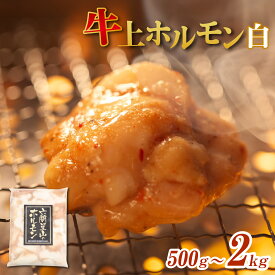 【ふるさと納税】ホルモン の 老舗 六間星山 の 牛上ホルモン（白）500g／1kg／2kg [A-026002] | 国産 豪州産 秘伝 タレ漬け 星山 焼肉 バーベキュー ホルモン鍋 とんちゃん 鉄板