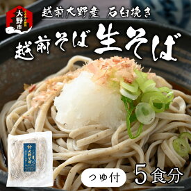 【ふるさと納税】生そば 石臼挽き 越前そば 5食 つゆ付 大野市 そば 在来種 老舗 おろしそば ざるそば 名水 石臼 自家製麺 冷蔵 生麺 おうち時間 冷凍 香り のどごし 国産 福井 送料無料 国内製造 [A-018013]