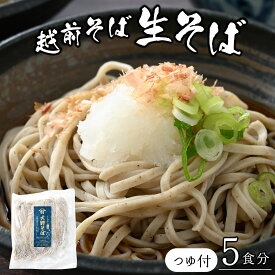 【ふるさと納税】生そば 石臼挽き 越前そば 5食 つゆ付 大野市 そば 在来種 老舗 おろしそば ざるそば 名水 石臼 自家製麺 冷蔵 生麺 おうち時間 冷凍 香り のどごし 国産 福井 送料無料 国内製造 [A-018013]