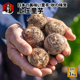 【ふるさと納税】日本の美味い里芋！秋の味覚 上庄里芋 3kg【出荷：2026年3月～】[A-001056]