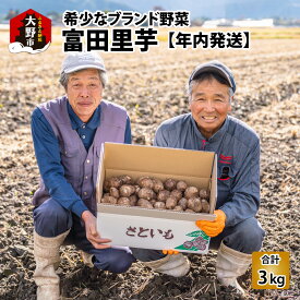 【ふるさと納税】【先行予約】希少！とみた里芋 3kg ねっとりまろやか煮崩れなし！【2026年3月中旬～4月上旬出荷】[A-001052]