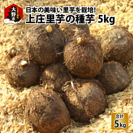 【ふるさと納税】日本の美味い里芋を栽培！上庄里芋の種芋 5kg【2026年3月10日～出荷】[B-001005]