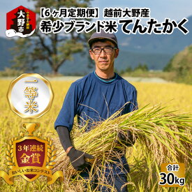 【ふるさと納税】【令和5年産】【6ヶ月定期便】越前大野産 一等米 帰山農園の「てんたかく」 5kg 【選べる精米方法】玄米 白米 無洗米 8分づき 5分づき [F-001004]