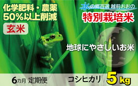【ふるさと納税】【令和6年産】こしひかり 5kg【玄米】減農薬・減化学肥料 「特別栽培米」－地球にやさしいお米－【お米・コシヒカリ・玄米】[A-003009]