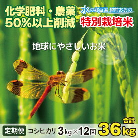 【ふるさと納税】【令和7年産 新米】【12ヶ月定期便】こしひかり 3kg × 12回 計 36kg【白米】減農薬・減化学肥料「特別栽培米」－地球にやさしいお米－【定期便・お米・コシヒカリ・定期便】[E-003001]