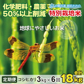 【ふるさと納税】【令和7年産 新米】【6ヶ月定期便】こしひかり 3kg × 6回 計 18kg【白米】減農薬・減化学肥料「特別栽培米」－地球にやさしいお米－【定期便・お米・コシヒカリ・定期便】[B-003002]