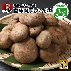yӂ邳Ɣ[Łzy3ցzۏi䌧sYj1kg×3 v3kg[B-003013n