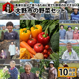【ふるさと納税】【先行予約】【農家直送】「大野市の野菜セット」《農家が自分で食べるために育てた野菜のおすそ分け》[A-003017]