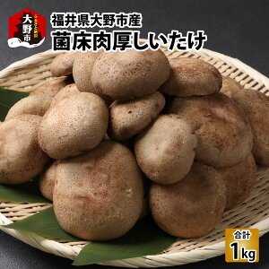 yӂ邳Ɣ[Łzۏi䌧sYj1kg[A-003019]