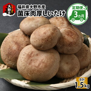 yӂ邳Ɣ[Łzy3ցzۏi䌧sYj500g×3 v1.5kg[A-003020n