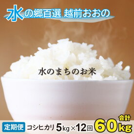 【ふるさと納税】【令和5年産】【12ヶ月定期便】こしひかり 5kg×12回 計60kg【白米】「エコファーマー米」水のまちのお米 【定期便・お米・コシヒカリ・12ヶ月連続・米・12回・計60kg】[H-003001]