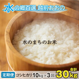 【ふるさと納税】【令和5年産】【3ヶ月定期便】こしひかり 10kg×3回 計30kg【白米】「エコファーマー米」水のまちのお米 【定期便・お米・コシヒカリ・3ヶ月連続・米・計30kg・3回】[D-003002]