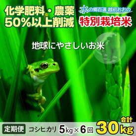 【ふるさと納税】【令和7年産 新米】【6ヶ月定期便】こしひかり 5kg ×6回 計30kg【白米】減農薬・減化学肥料 「特別栽培米」−地球にやさしいお米−[D-003003]