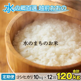 【ふるさと納税】【令和7年産】【12ヶ月定期便】こしひかり 10kg×12回 計120kg【白米】「エコファーマー米」水のまちのお米 【定期便・お米・コシヒカリ・12ヶ月連続・米・計120kg・12回】[M-003001] | コンシェルジュ 10キロ　頒布会 福井 大野