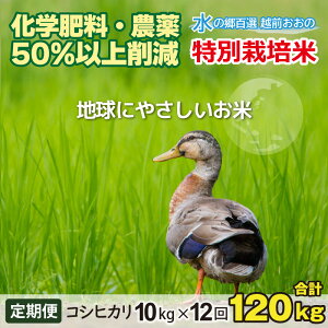 yӂ邳Ɣ[Łzyߘa7NY Vāzy12ցzЂ 10kg×12 v120kgyāz_Ew엿 uʍ͔|āv|nɂ₳ā|yցEāERVqJE12A