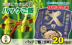 【ふるさと納税】地球にやさしいパックご飯 20食入り【玄米】　減農薬・減化学肥料 「特別栽培米」－地球にやさしいお米－[A-003012]防災 備蓄