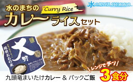 【ふるさと納税】レンジでチン！水のまちのカレーライスセット【3食分】[A-003015] コシヒカリ こしひかり 防災 備蓄 パックご飯 150g パックごはん パックライス