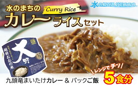 【ふるさと納税】レンジでチン！水のまちのカレーライスセット【5食分】[A-003016] コシヒカリ こしひかり 防災 備蓄 パックご飯 150g パックごはん パックライス