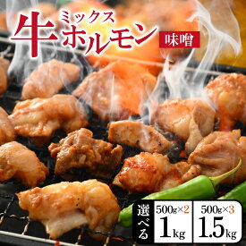 【ふるさと納税】【選べる容量】大美のとんちゃん(ミックス)牛ホルモン ミックス 味噌ダレ 1kg or 1.5kg [A-015001oya] | ホルモン ビール 焼肉 老舗 網焼き 鉄板焼き タレ漬け もつ 味付け 牛肉 小分け 500g ハイボール 精肉店 国産