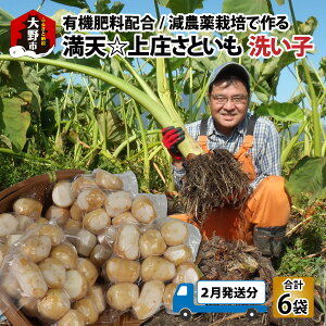 yӂ邳Ɣ[Łzys\zV㏯YƂ́u􂢎q2.01kgi335g×6܁jv {̖߂AL@엿zA_͔|́uƎ͔|vō􂢎q yIׂ11`4z