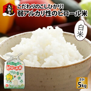 yӂ邳Ɣ[Łzys\zyߘa7NY Vāz̕āIAJ̃s[ Ђ  5kg [A-009001]