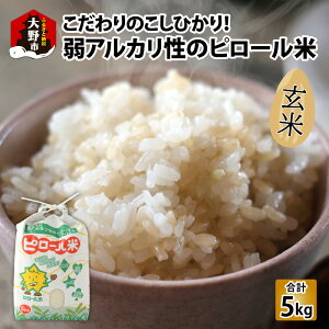 yӂ邳Ɣ[Łzys\zyߘa7NY Vāz̕āIAJ̃s[ Ђ  5kg [A-009002]