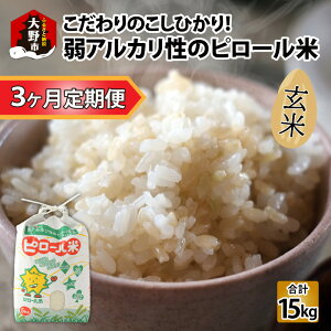 yӂ邳Ɣ[Łzyߘa7NY Vāzy3ցz̕āIAJ̃s[ Ђ  5kg×3 v15kg [C-009002]