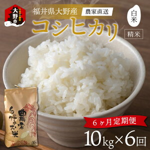 yӂ邳Ɣ[Łzyߘa7NY Vāzy6ցz䌧sY RVqJ   10kg _ƒ [H-013001]