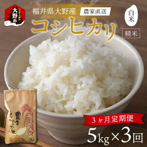 �y�ӂ邳�Ɣ[�Łz�y�ߘa7�N�Y �V�āz�y3��������ցz���䌧���s�Y �ꓙ�� �R�V�q�J�� ���� ���� 5kg �_�ƒ��� [B-013001]