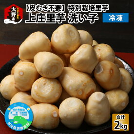 【ふるさと納税】【先行予約】【皮むき不要】減農薬・減化学肥料の特別栽培里芋 上庄里芋 冷凍 洗い子 計2kg（500g×4袋）【10月上旬ごろから順次発送】 [A-019001]