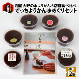【ふるさと納税】【先行予約】越前大野の水ようかん「でっちようかん味めぐりセット」6店舗の食べ比べ 6個×2箱 計12個 | 福井 大野 水ようかん でっちようかん ようかん 保存料不使用 詰め合わせ 食べ比べ 和菓子 冬季限定 期間限定 [B-014002]