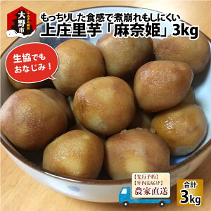 yӂ邳Ɣ[Łzys\zyN͂z㏯uޕPv3kgu_ƒvy11{`z [A-031003]