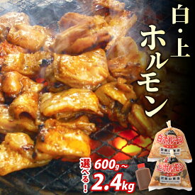 【ふるさと納税】【全国ホルモン大会初代優勝】星山ホルモン 白 ミックス ホルモン 600g / 1.2kg / 2.4kg（たれ付）【行列のできるお店】 |小分け 鍋 焼き肉 焼肉 焼き 牛肉 豚肉 鉄板