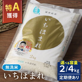 【ふるさと納税】【選べる内容量・お届け回数 1～12回】【福井のブランド米】【令和7年産】【特A獲得】いちほまれ 無洗米 2～4kg | 無洗米 白米 コメ ご飯 ごはん 甘い 定期便 人気品種 送料無料
