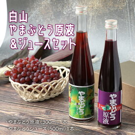 【ふるさと納税】【白山ワイナリー】白山やまぶどう原液＆ジュースセット【お歳暮】[A-054035]|加工食品 果物 フルーツ 詰合せ フルーティー 果肉 風味 食感 こだわり 送料無料 お中元 お歳暮